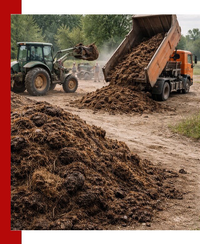 Доставка навоза самосвалами в Елабуге для сельхозпотребностей