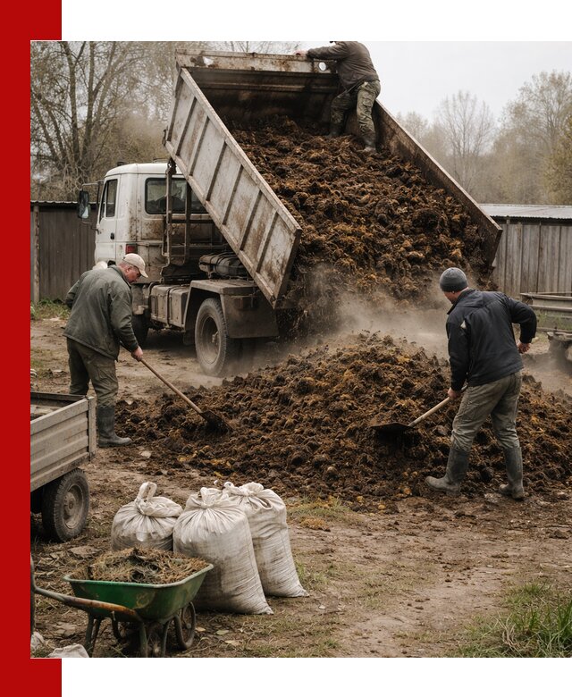 Доставка коровьего навоза самосвалом в Елабуге